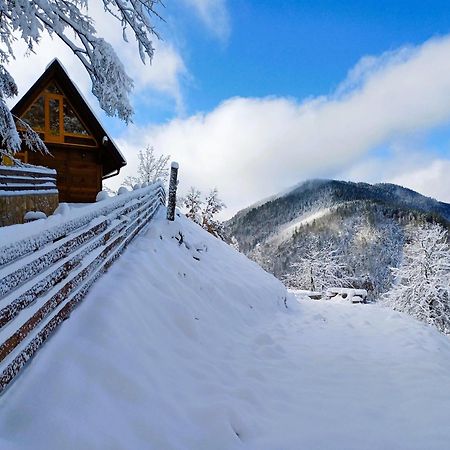 Drvene Kuce Suska - Wooden Houses Suska Zaovine エクステリア 写真