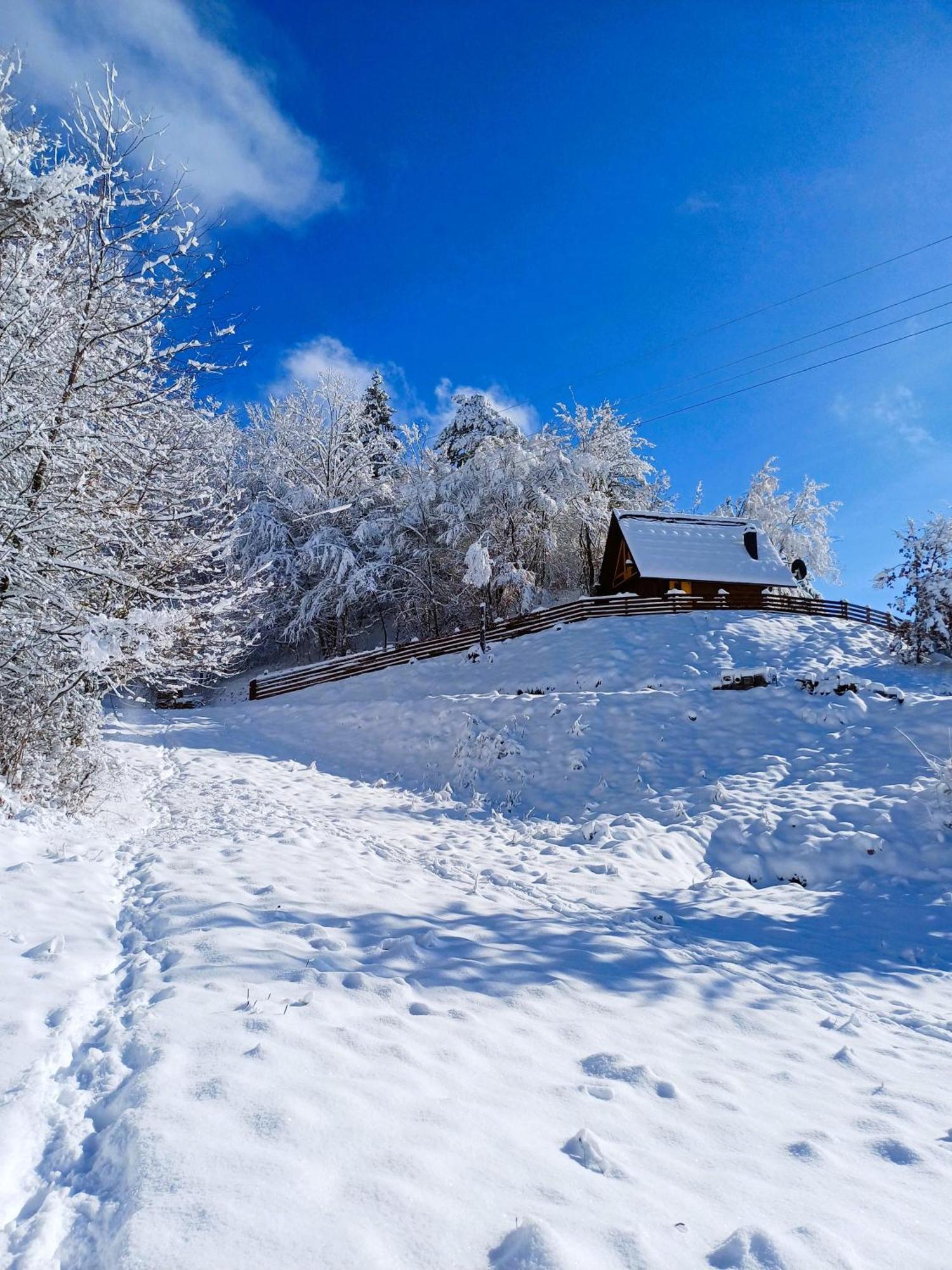 Drvene Kuce Suska - Wooden Houses Suska Zaovine 部屋 写真