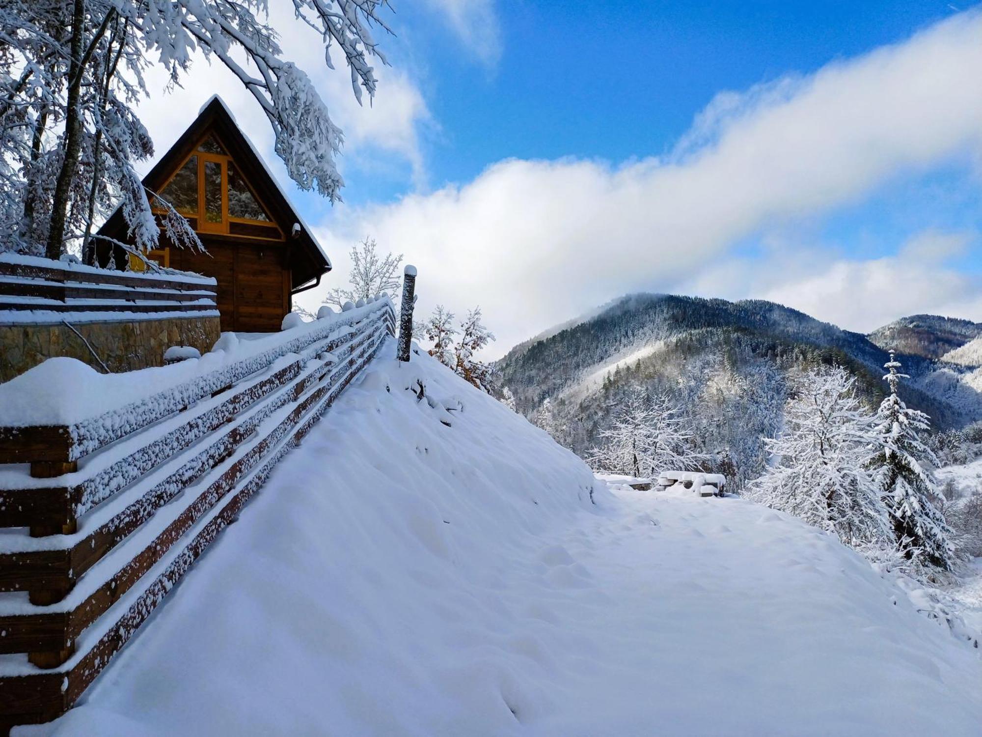 Drvene Kuce Suska - Wooden Houses Suska Zaovine エクステリア 写真